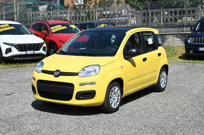 Fiat Panda 1.0 firefly hybrid s&amp;s 70cv 5p.ti nuova a Pianezza