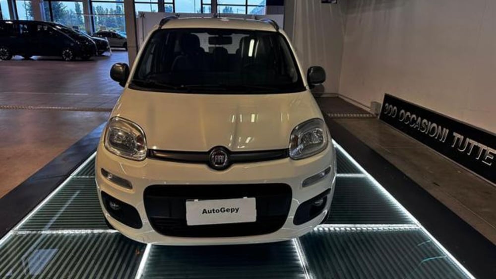 Fiat Panda usata a Reggio Emilia (2)