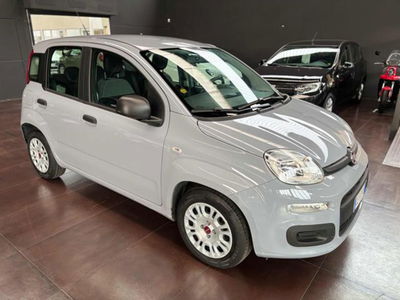 Fiat Panda 1.0 firefly hybrid s&amp;s 70cv 5p.ti del 2021 usata a Pesaro