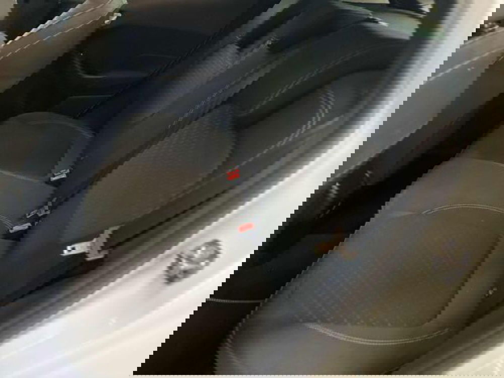 Ford Fiesta usata a Pesaro-Urbino (12)