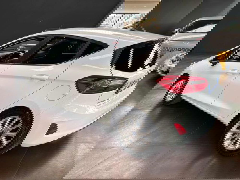 Ford Fiesta usata a Pesaro-Urbino (4)