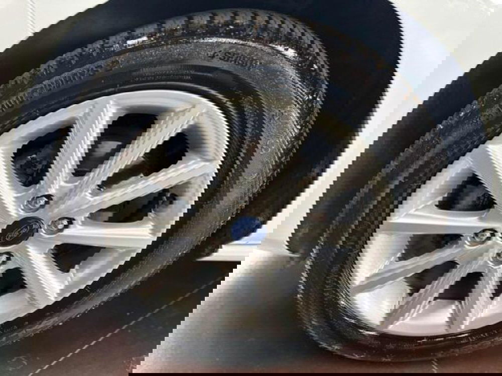 Ford Fiesta usata a Pesaro-Urbino (7)