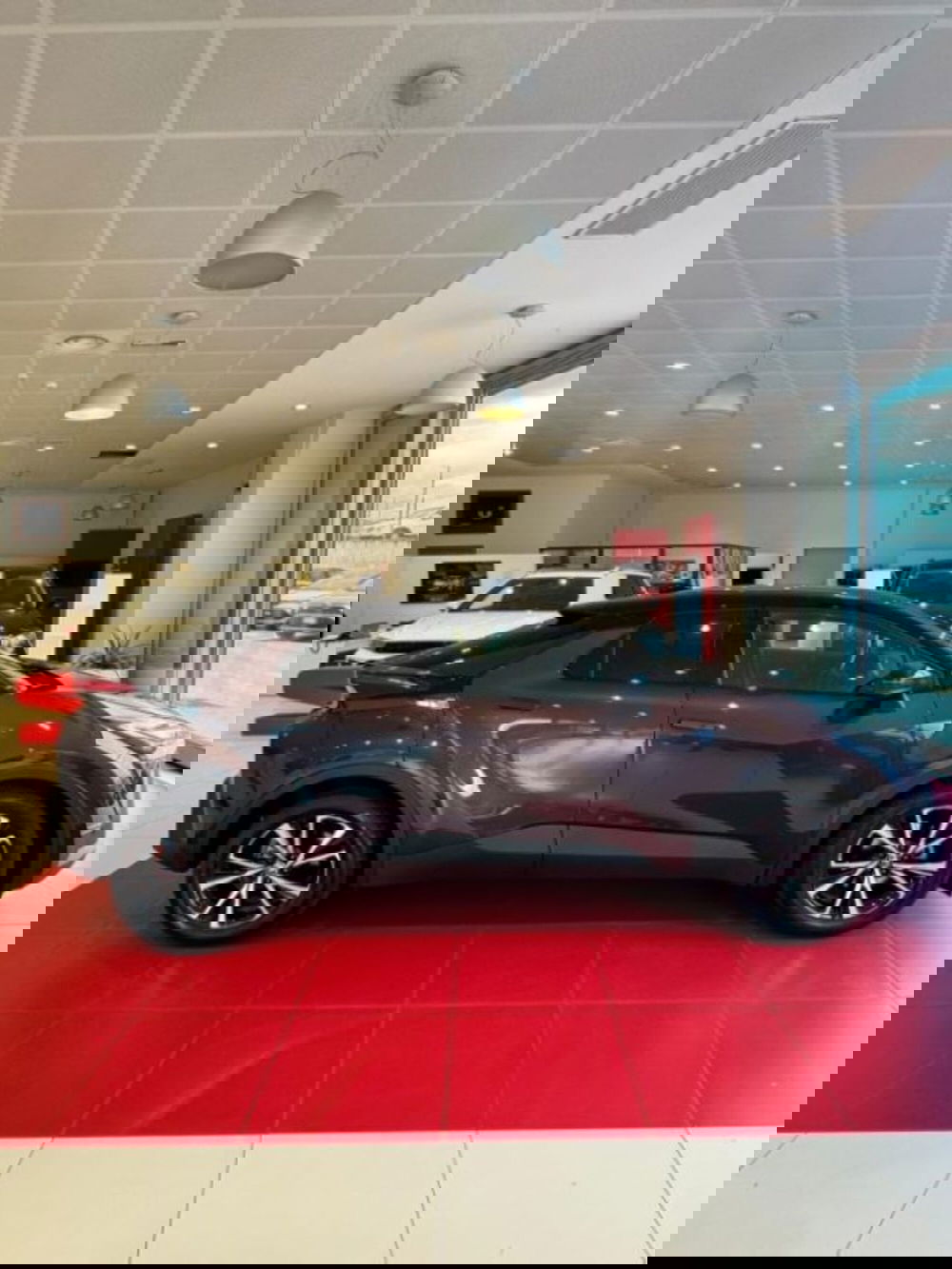 Toyota Toyota C-HR usata a Sassari (5)