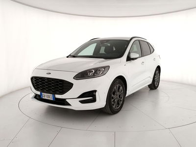Ford Kuga 1.5 EcoBlue 120 CV aut. 2WD ST-Line X Design del 2020 usata a Roma