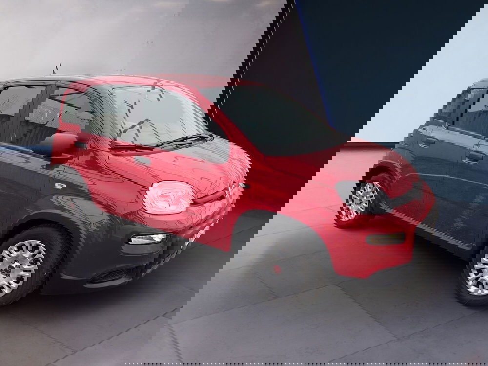 Fiat Panda usata a Torino (3)