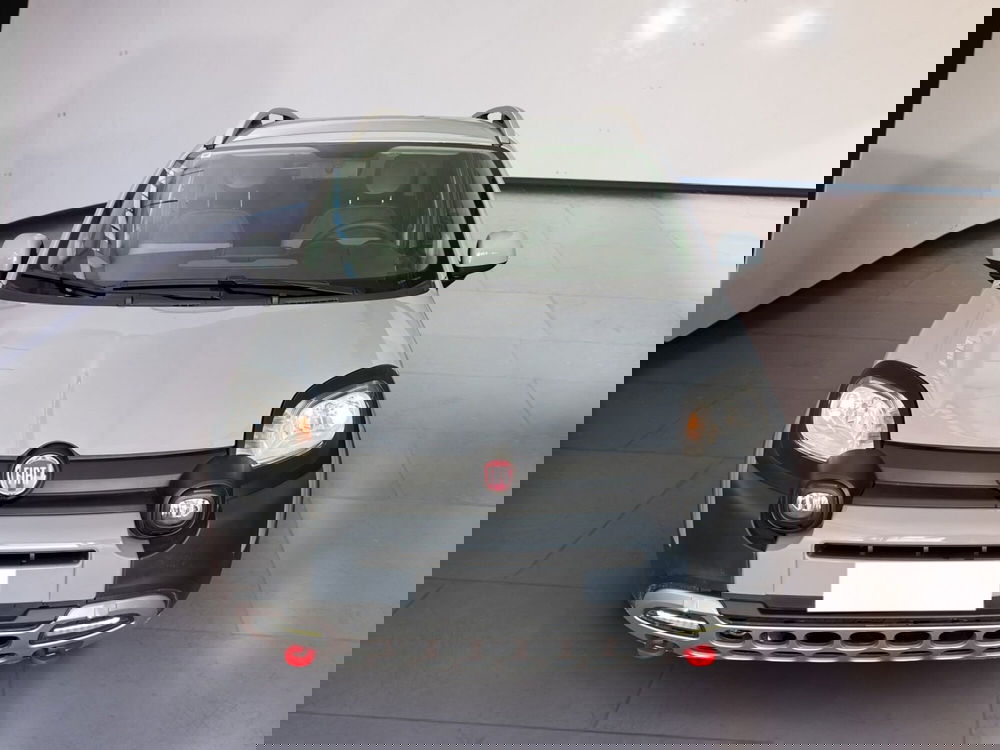 Fiat Panda Cross usata a Torino