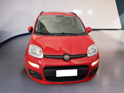 Fiat Panda 1.2 EasyPower Lounge del 2020 usata a Torino