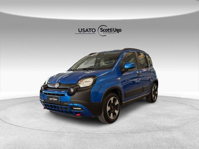 Fiat Panda Cross 1.0 firefly hybrid Cross s&amp;s 70cv 5p.ti del 2023 usata a Tavarnelle Val di Pesa