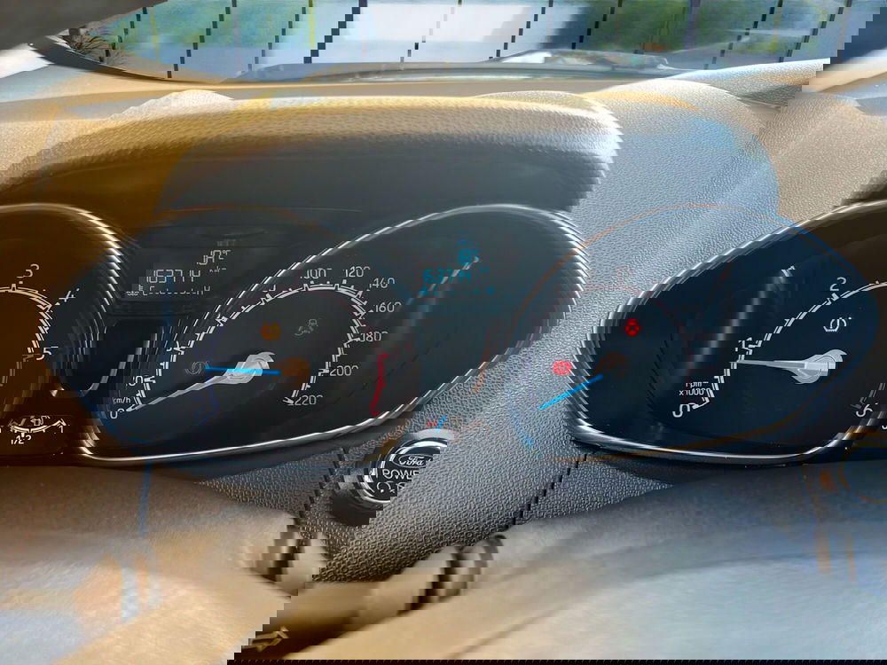 Ford EcoSport usata a Cosenza (11)