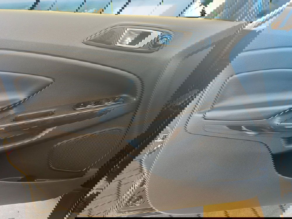 Ford EcoSport usata a Cosenza (12)