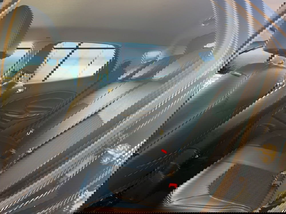 Ford EcoSport usata a Cosenza (13)