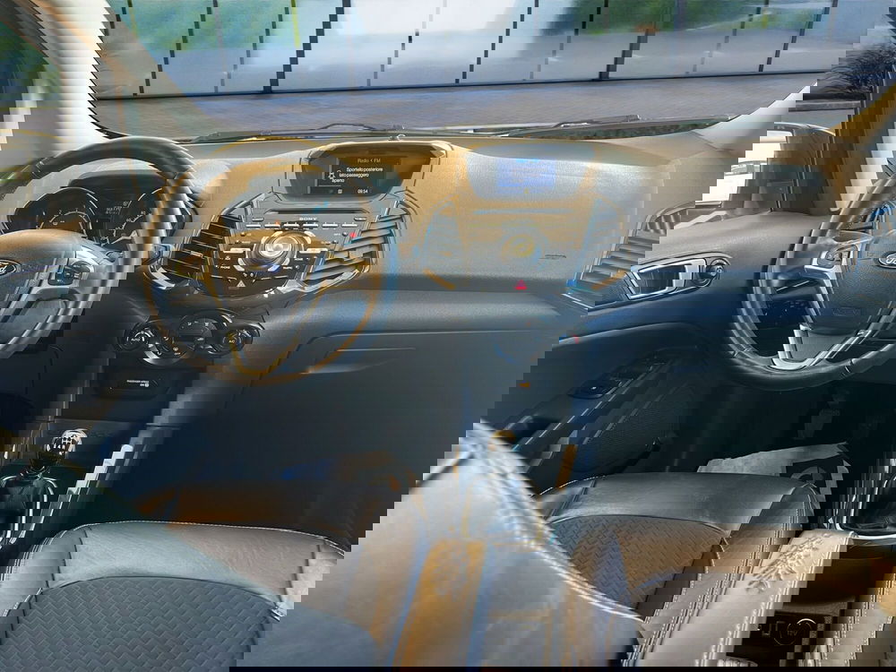 Ford EcoSport usata a Cosenza (14)