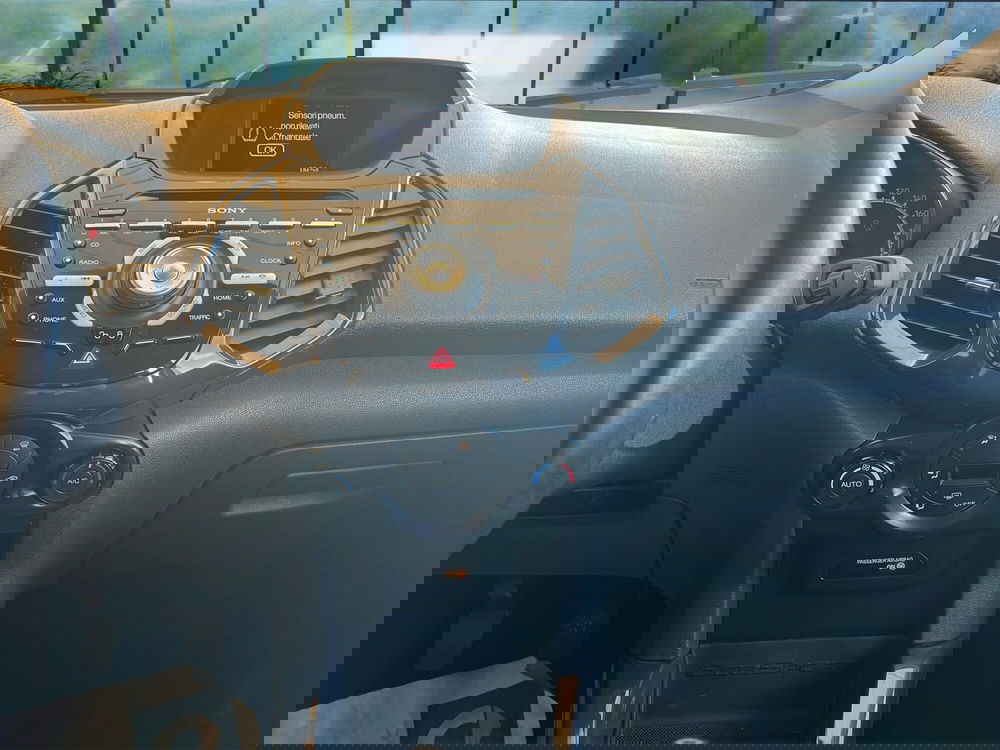 Ford EcoSport usata a Cosenza (16)