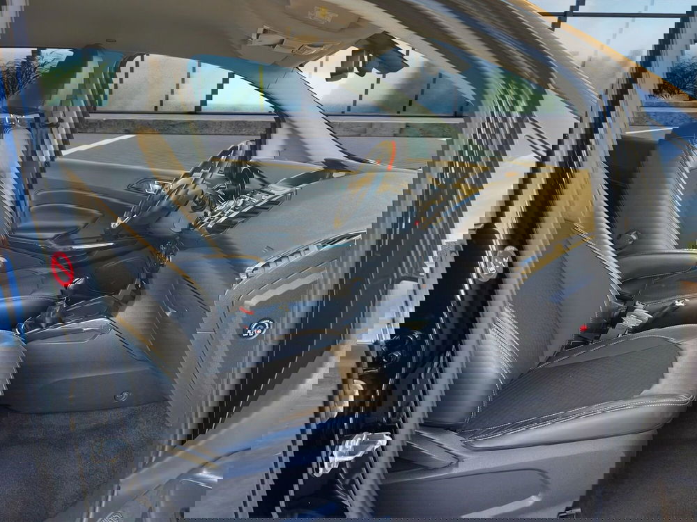 Ford EcoSport usata a Cosenza (18)