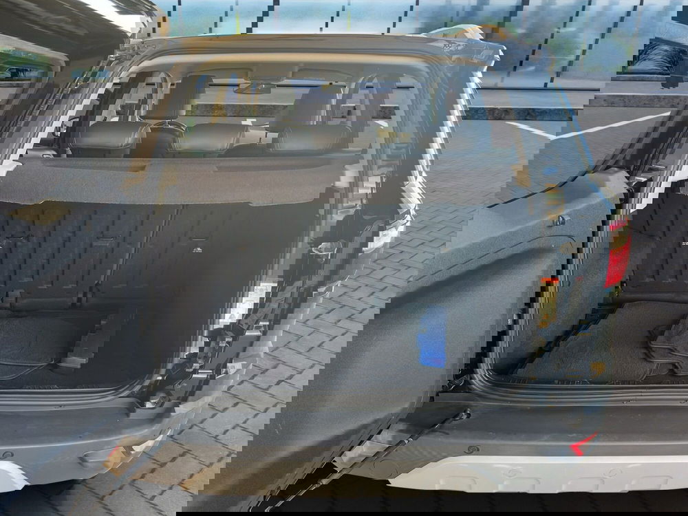 Ford EcoSport usata a Cosenza (20)