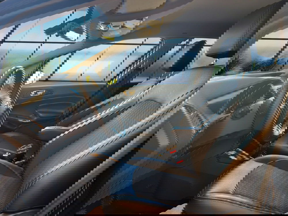 Ford EcoSport usata a Cosenza (9)