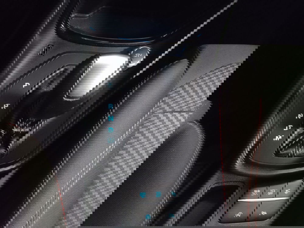 Ford Puma usata a Torino (14)