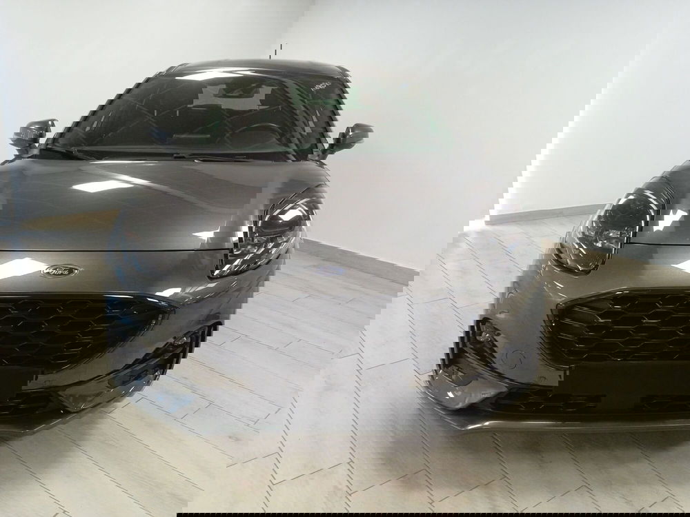 Ford Puma usata a Torino (2)