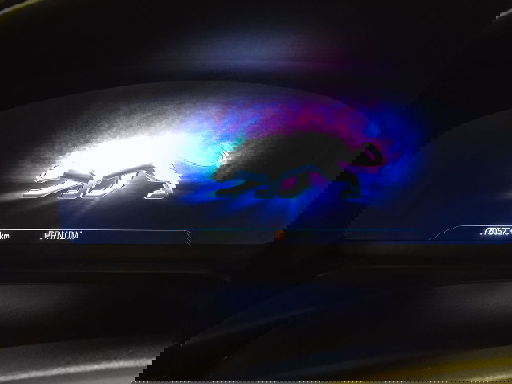 Ford Puma usata a Torino (9)