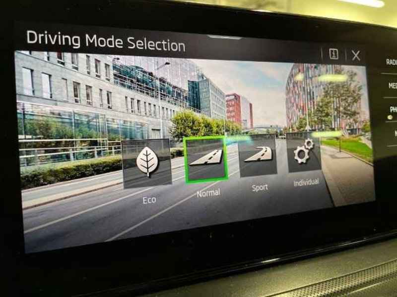 Skoda Kamiq usata a Prato (20)