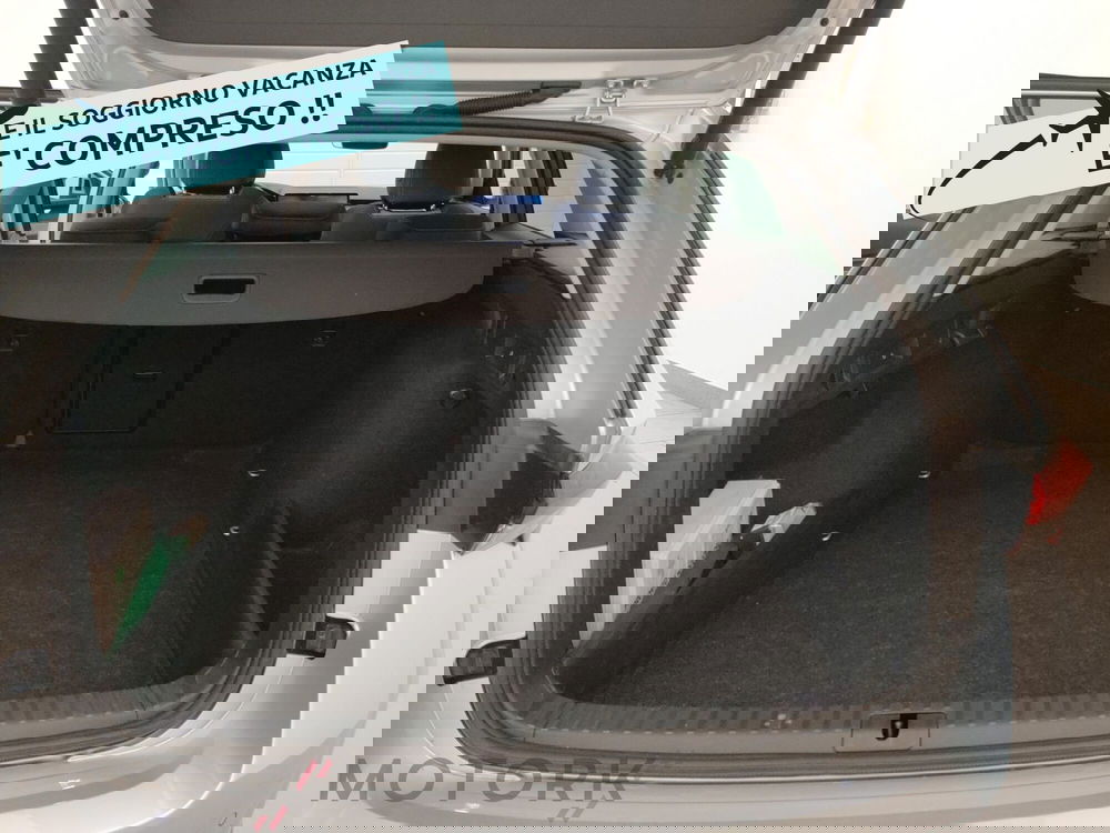 Skoda Octavia Station Wagon usata a Varese (10)