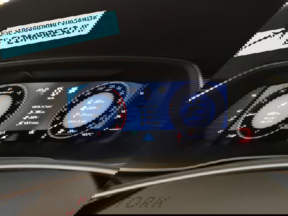 Skoda Octavia Station Wagon usata a Varese (14)