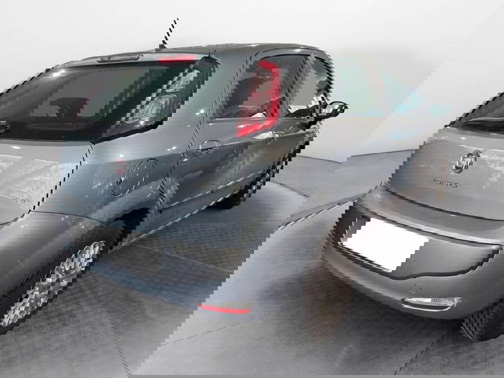 Fiat Punto Evo usata a Torino (6)