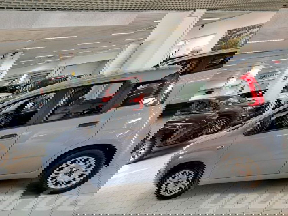 Fiat Panda usata a Napoli (2)