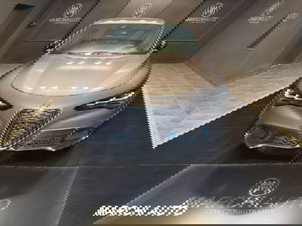 Alfa Romeo Stelvio usata a Perugia (2)