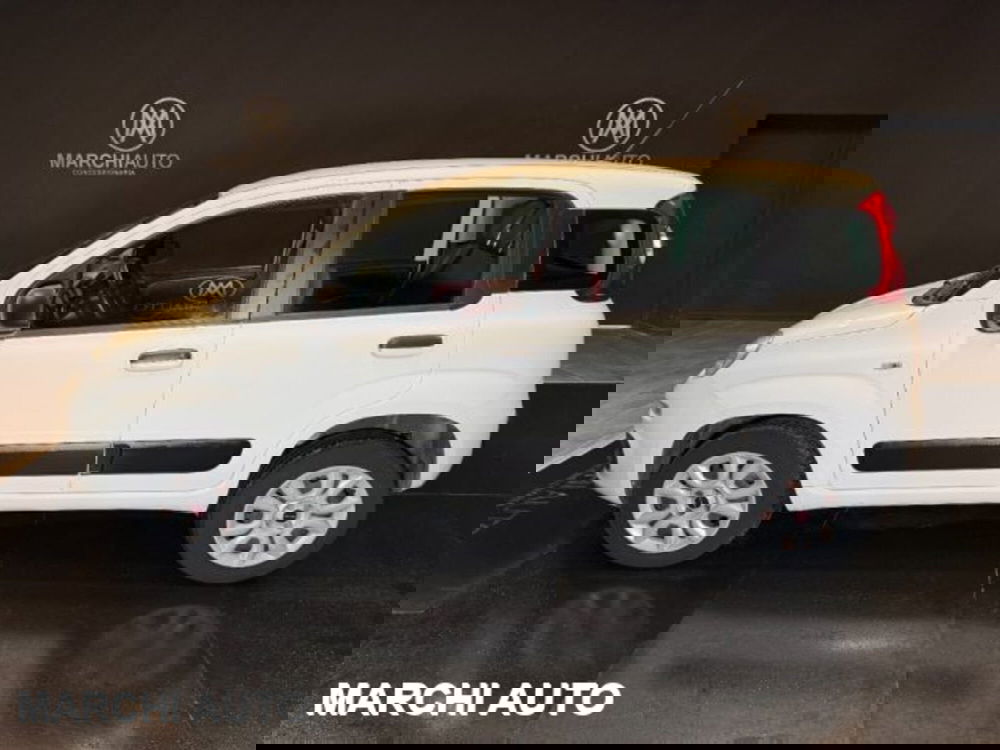 Fiat Panda usata a Perugia (8)