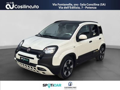 Fiat Panda 1.0 firefly hybrid s&amp;s 70cv 5p.ti del 2024 usata a Sala Consilina