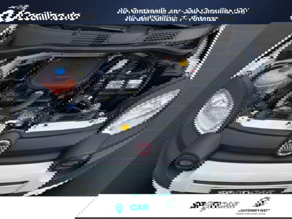 Fiat Panda usata a Salerno (18)