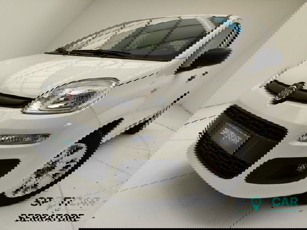 Fiat Panda usata a Como