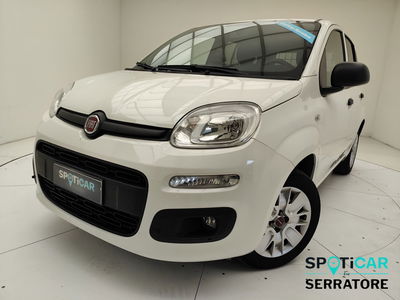 Fiat Panda 1.2 Van Dynamic 4 posti del 2021 usata a Erba