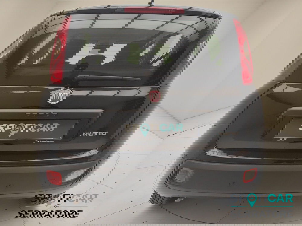 Fiat Panda nuova a Como (6)