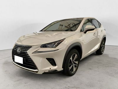Lexus NX Hybrid 4WD Luxury del 2021 usata a Sala Consilina