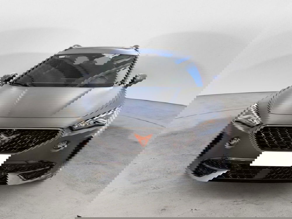 Cupra Formentor usata a Salerno (2)