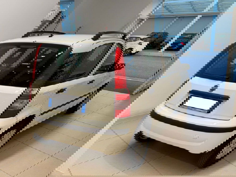 Fiat Panda usata a Napoli (5)