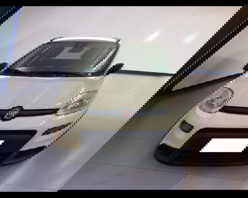 Fiat Panda usata a Torino