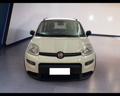 Fiat Panda 1.2 EasyPower City Life del 2022 usata a Torino