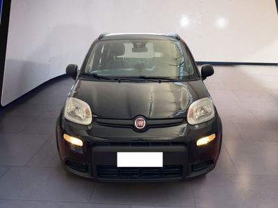 Fiat Panda 1.2 EasyPower City Life del 2022 usata a Torino