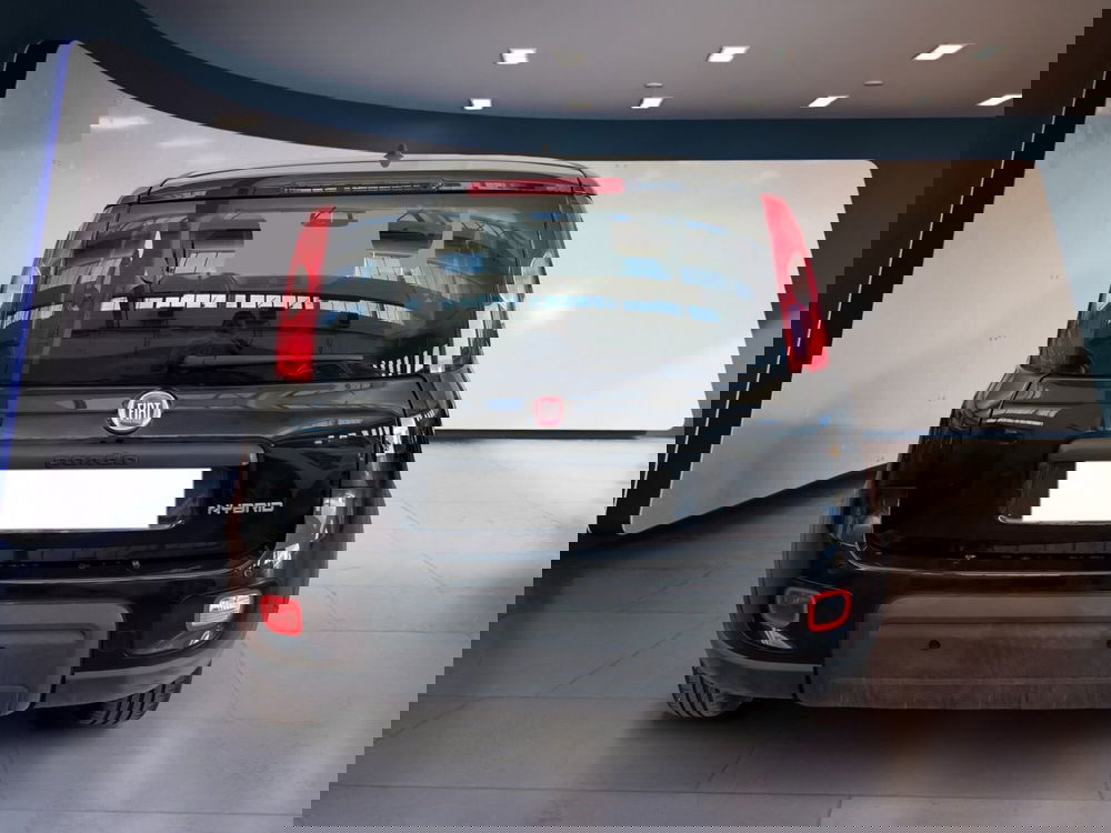 Fiat Panda usata a Torino (5)