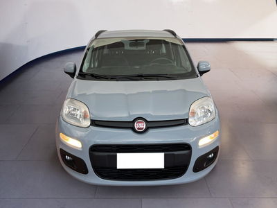 Fiat Panda 1.2 EasyPower Lounge del 2020 usata a Torino