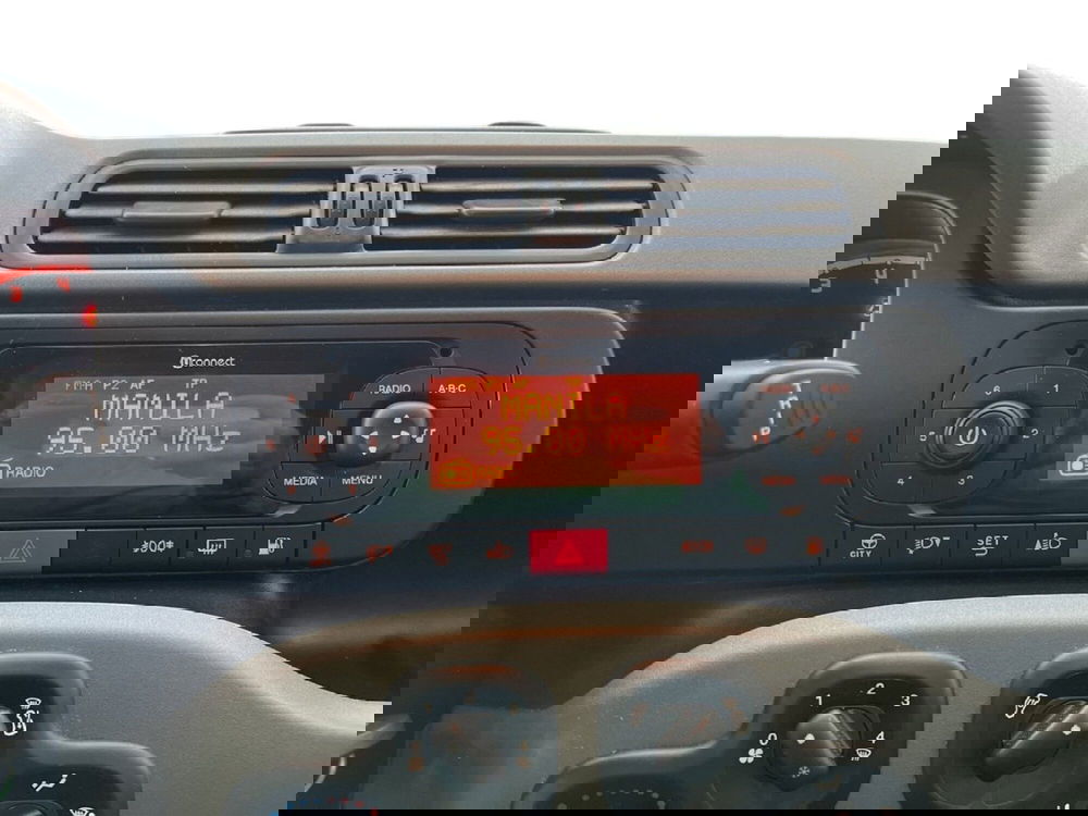 Fiat Panda usata a Torino (14)