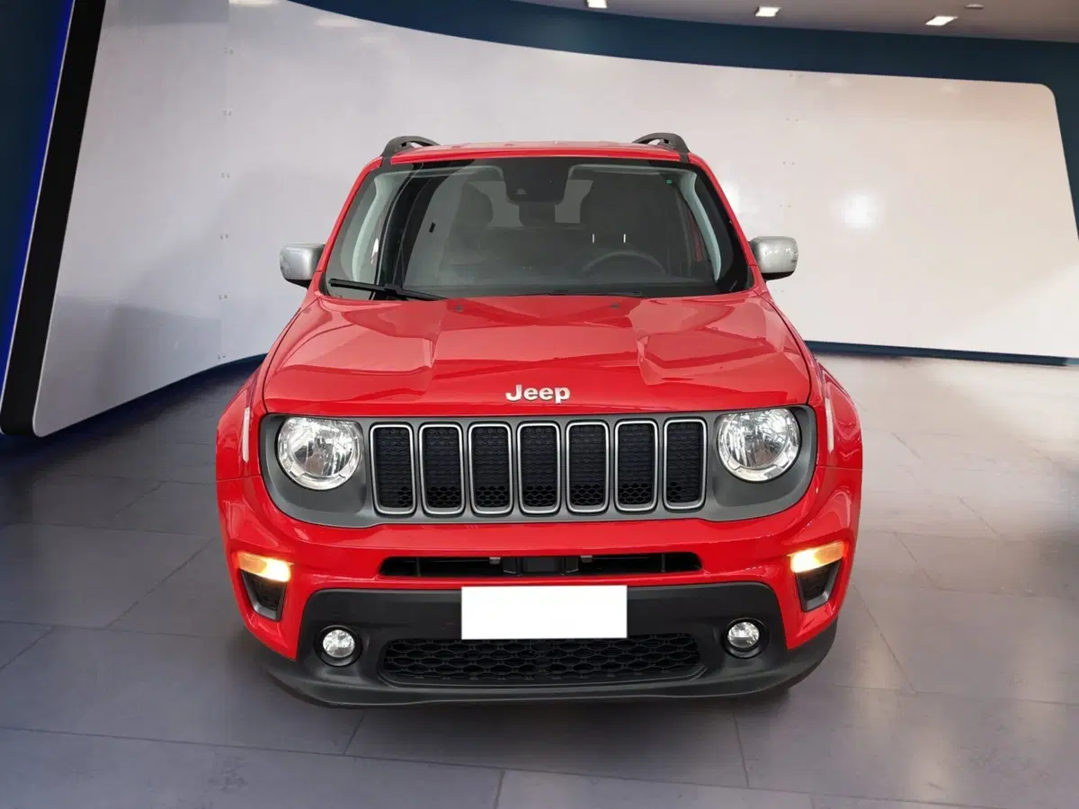 Jeep Renegade usata a Torino