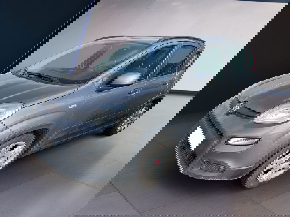 Fiat Panda usata a Torino (2)