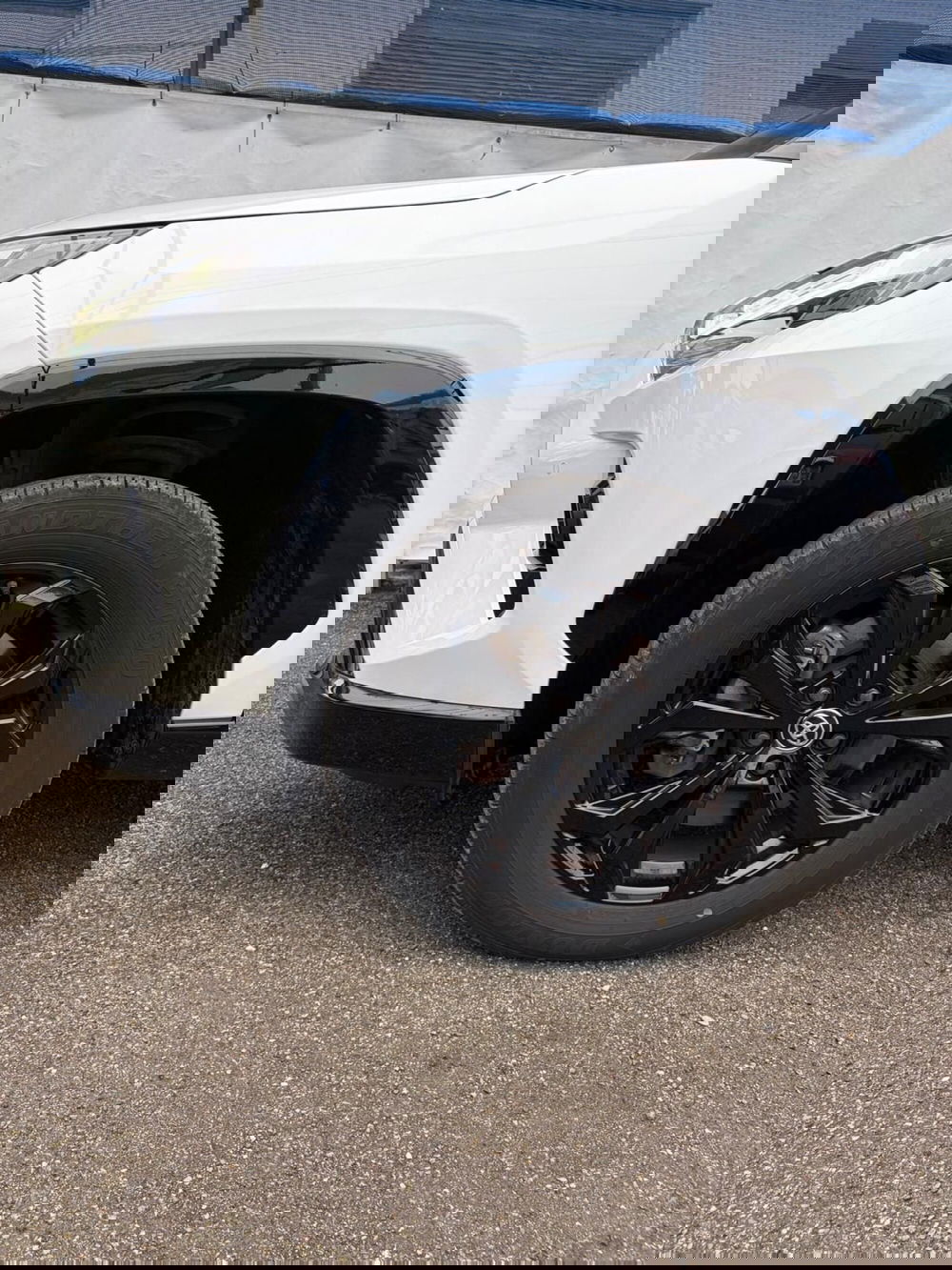 Toyota Rav4 usata a Cremona (15)