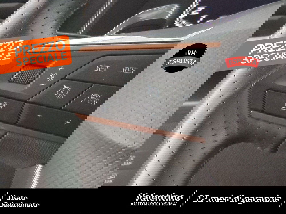 Cupra Formentor usata a Roma (15)