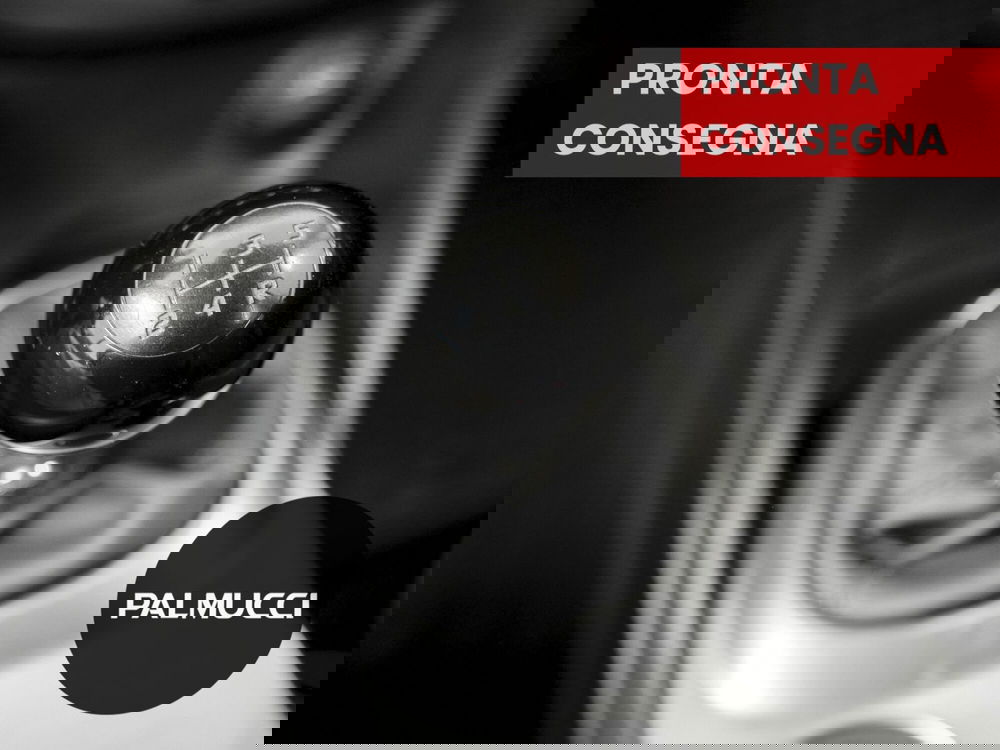 Fiat 500X usata a Prato (12)