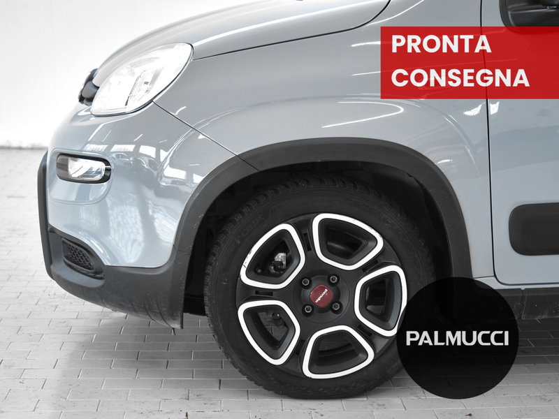 Fiat Panda usata a Prato (6)
